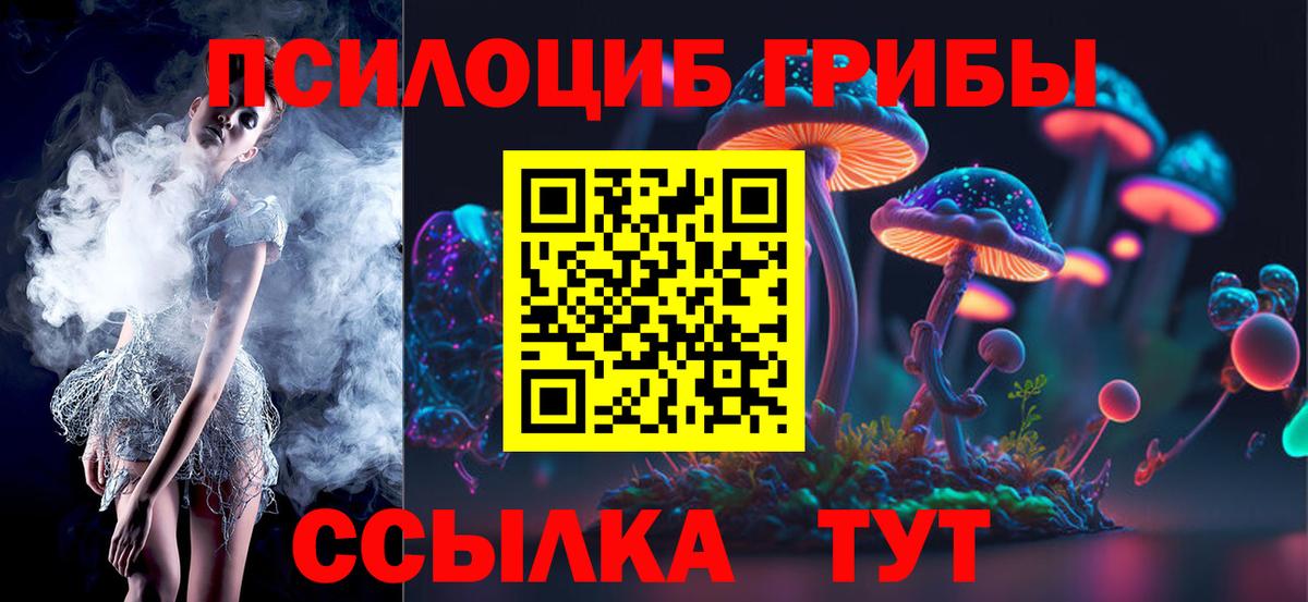 купить наркотики цена  Галлюциногенные грибы MAGIC MUSHROOMS  Вход с VPN  Ирбит  Галлюциногенные грибы MAGIC MUSHROOMS 