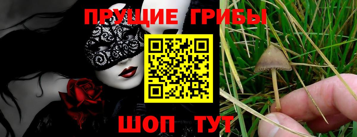 Псилоцибиновые грибы Psilocybine cubensis Ирбит